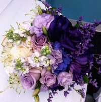 test alt text