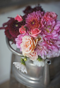 test alt text