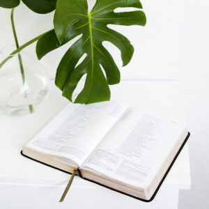 A book with a green leafy plant in a glass vase 