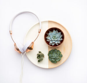 Gold and white headphones next to a wooden plate with three succulents