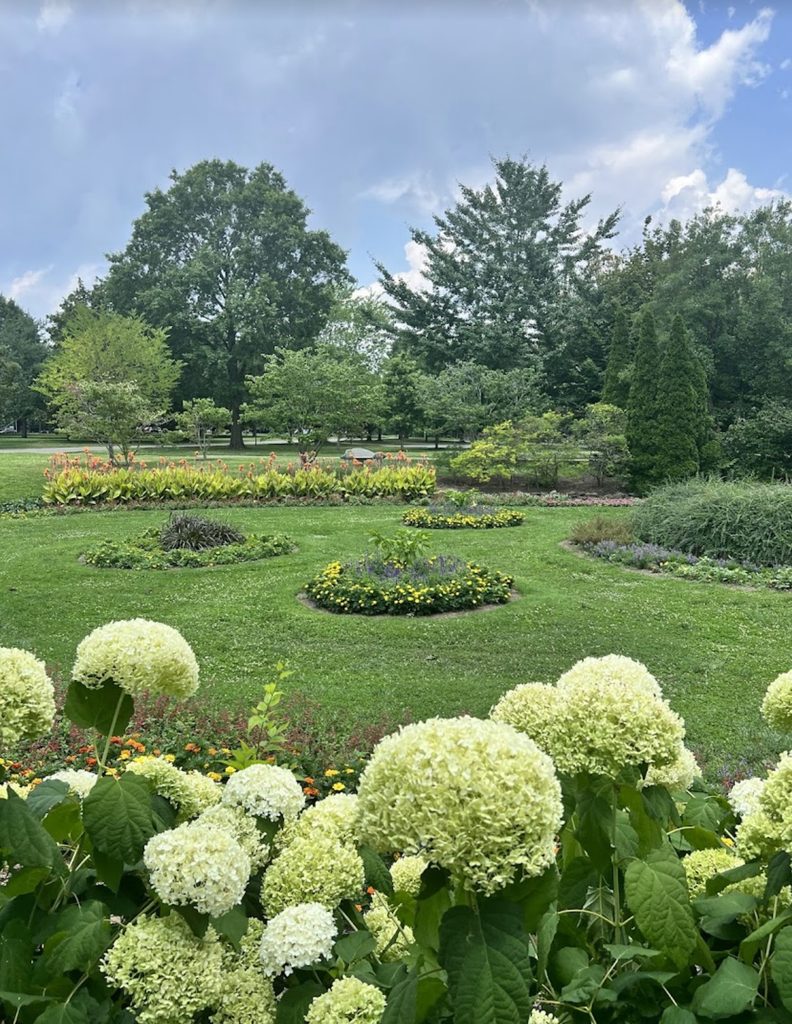 Centennial Park Sunken Garden in full bloom with hydrangeas, tulips, iris and daffodils. 