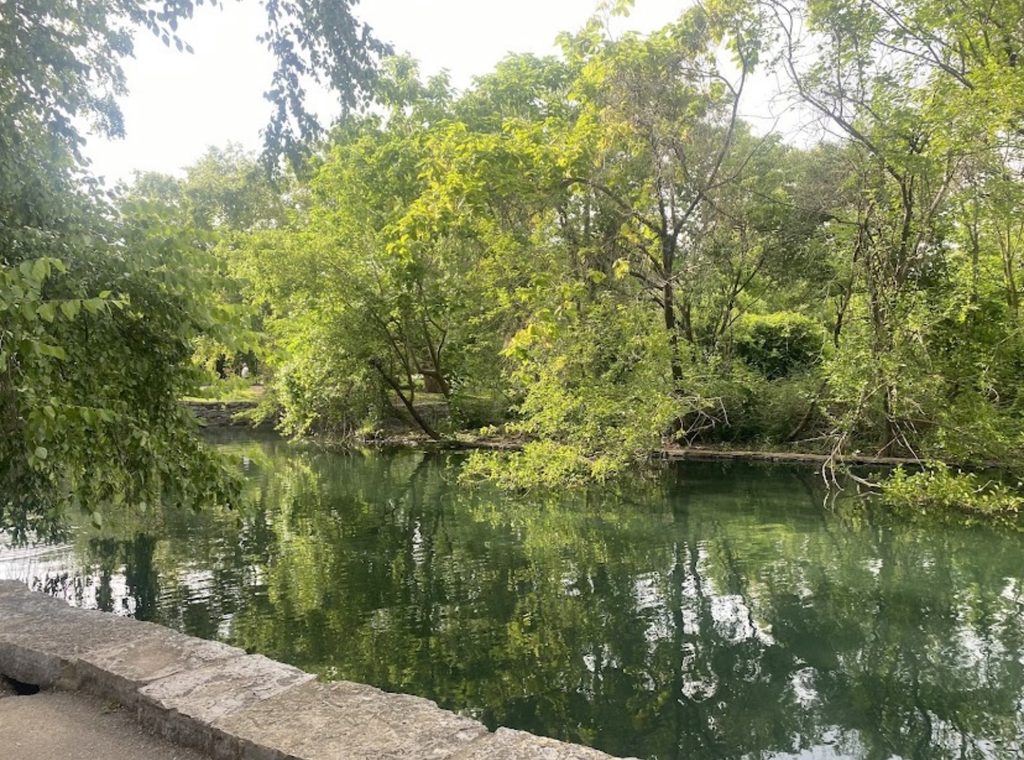 A view of the lake at Centennial Park Sunken Garden