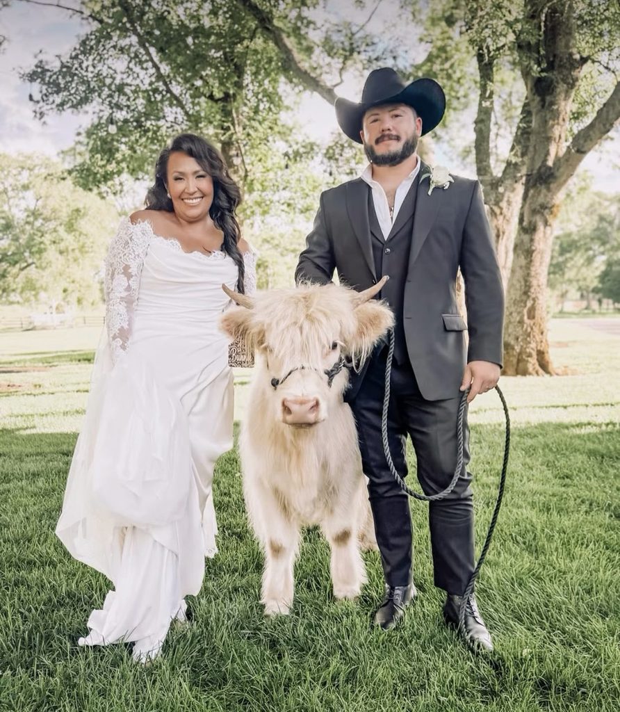 Bride in a lace wedding dress and a groom in a black suit with a black cowboy hat with a white highland cow at Steel Magnolia Barn.